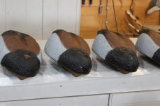 Model 81 Brant - base coat on bodies.JPG