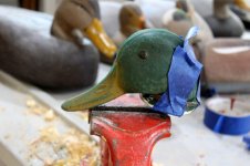 72 Mallard Head - glued and taped - lower bill.JPG