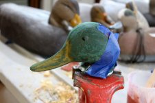 72 Mallard Head - glued and taped.JPG