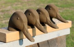 72 Mallard Head - 4 postures - oblique.JPG