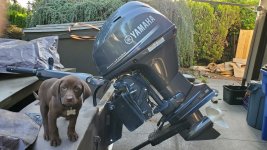 20230615_070844.jpg 20230615_070844.jpg