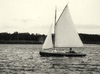 C2 - SJS at helm of Willet mouth of Carmans R 1992.jpg