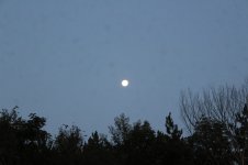 SuperMoon - Friday at dawn.JPG