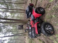 IMG_2479.jpeg IMG_2479.jpeg