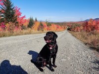 20211007_143558.jpeg 20211007_143558.jpeg