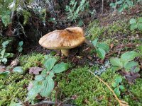 20211008_085525.jpg 20211008_085525.jpg