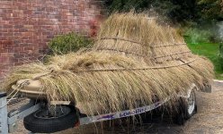 Balabus - Full Thatch - from bow quarter.jpg