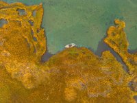 IslandOutdoorsMediaTM-33.jpg