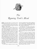 sm Turks Head p29.jpg