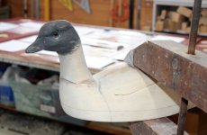 Brant - faired after glueing.JPG