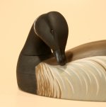 Brant - Feeder-Preener CLOSEUP.JPG