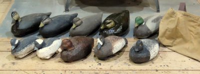 Castelli - Bill Repairs - 9 decoys - 1 November 2023.JPG