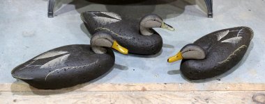 LL Bean Black Duck Trio - Towles.JPG