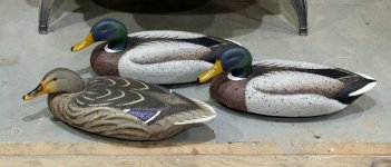 LL Beans Mallard Trio - Towles.JPG