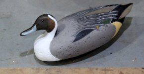 LL Bean Pintail Drake - DeLuxe Oversize - Towles.JPG