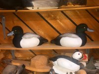 IMG_3075.jpeg