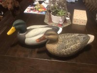 IMG_3078.jpeg