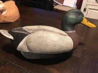 IMG_3081.jpeg