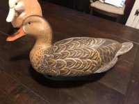 IMG_3080.jpeg