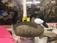 IMG_3083.jpeg