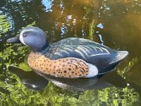 IMG_3084.jpeg