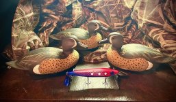 IMG_3071.jpeg