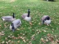 IMG_0127.jpeg