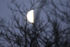 IMG_1410Z.JPG