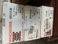 IMG_5318.jpeg