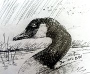 IMG_4922.jpeg