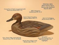 sm Pintail Hen BEHR COLORS with TEXT.JPG