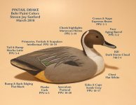 sm Pintail Drake BEHR COLORS with TEXT.JPG