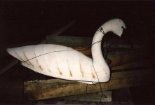 johnnie johnson chincoteague swan edit.jpg