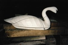 johnson swan.jpg