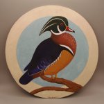 Wood Duck photo box pics  (5).JPG