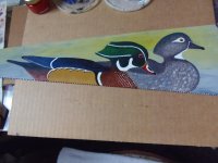 Wood Duck saw (2).JPG