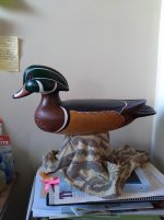 Hollow sugar pine Wood Duck Decoy.jpg