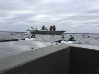 IMG_0382.jpeg