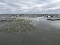 IMG_0394.jpeg