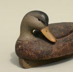 Cork Black Duck Preener - closeup C.jpg