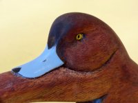 GR 13 sm 2 Broadbill grab Handles - Drake head closeup.JPG