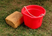 sm 6 CAIRD - Bucket and sponge.JPG