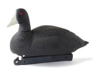 GH_Floater_Coot_Drake_Hen_Std_Resting_Product.jpg