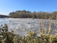 Molly retrieve At Big Blind 1  27 25.jpg