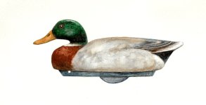 sm Wildfowlers Superior Mallard Drake - Watercolor FINAL RF.jpg