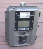 BearCam-1.jpg