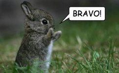 bravobunnyel3.jpg