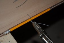 DSC_0037e.jpg