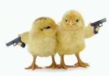 chickswithguns.jpg