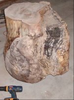 burlstump2.jpg